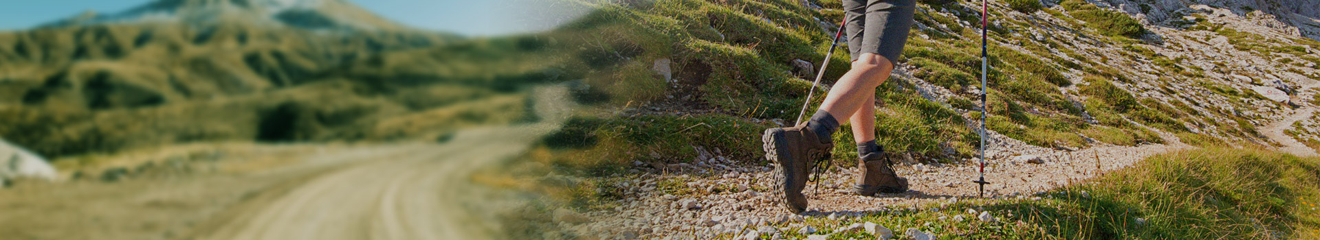 ດາວໂຫລດ